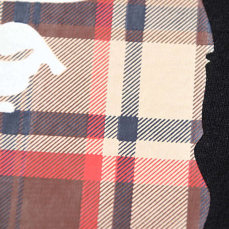 BAPE Plaid Ape Head College Logo Tee