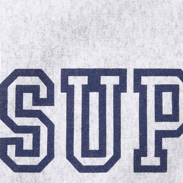Supreme FW24 Collegiate Sleeve Hooded Sweatshirt