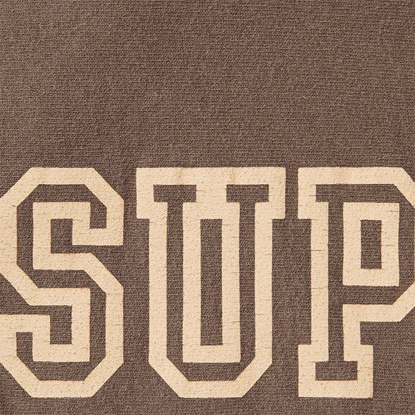 Supreme FW24 Collegiate Sleeve Hooded Sweatshirt